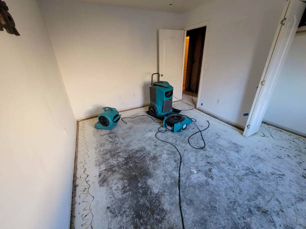 Water damage restoration process in Biloxi, MS