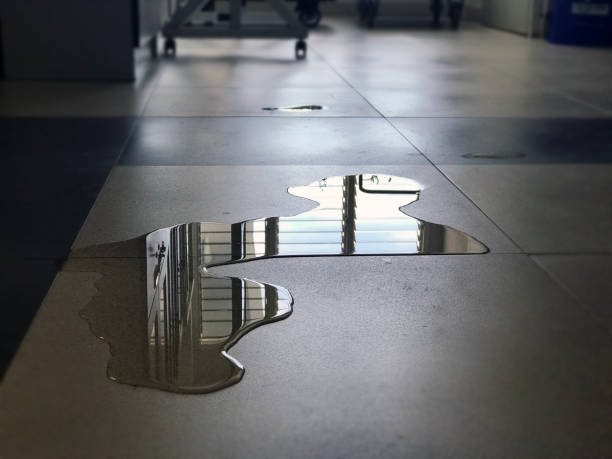 Best Water damage restoration process  in Biloxi, MS