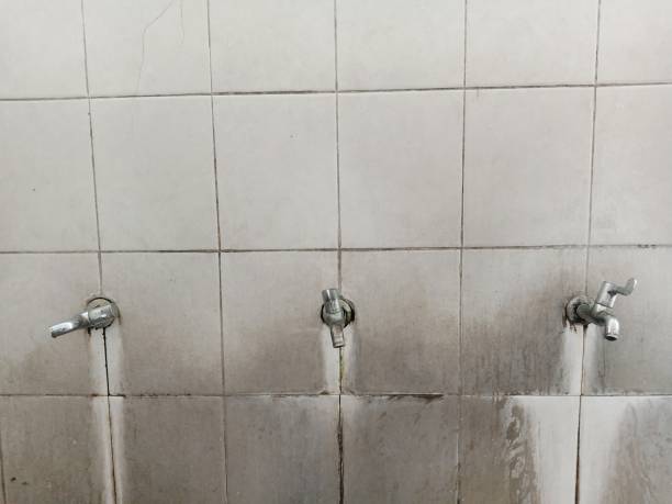 Best Mold removal after water damage  in Biloxi, MS