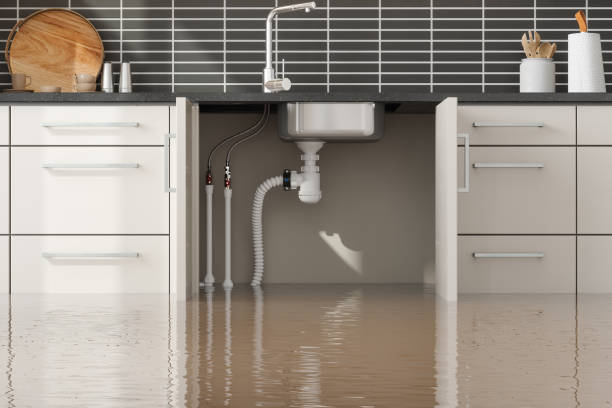 Best Water damage restoration company  in Biloxi, MS